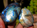 Polished Labradorite Palm Stones x 35 From Madagascar - Toprock Gemstones and Minerals 