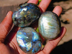 Polished Labradorite Palm Stones x 35 From Madagascar - Toprock Gemstones and Minerals 
