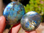 Polished Labradorite Palm Stones x 35 From Madagascar - Toprock Gemstones and Minerals 