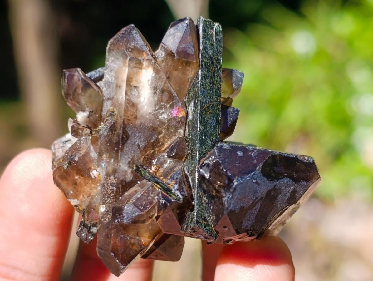 Natural Smokey Quartz Crystals x 24 From Zomba Plateau, Malawi - Toprock Gemstones and Minerals 