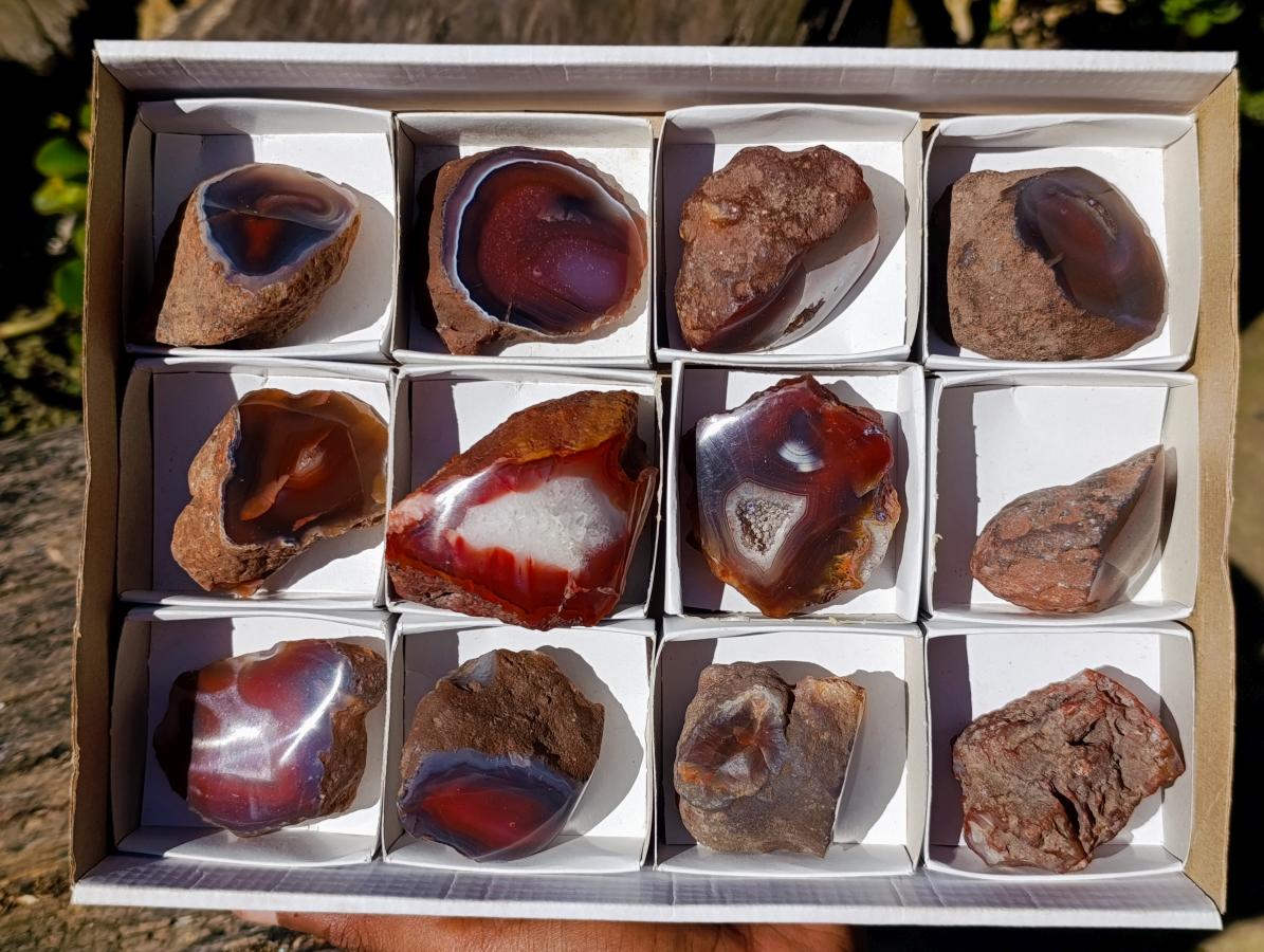 Polished One Side Red Shashe River Agate Nodules x 12 From Shashe River, Zimbabwe - Toprock Gemstones and Minerals 