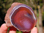 Polished One Side Red Shashe River Agate Nodules x 12 From Shashe River, Zimbabwe - Toprock Gemstones and Minerals 