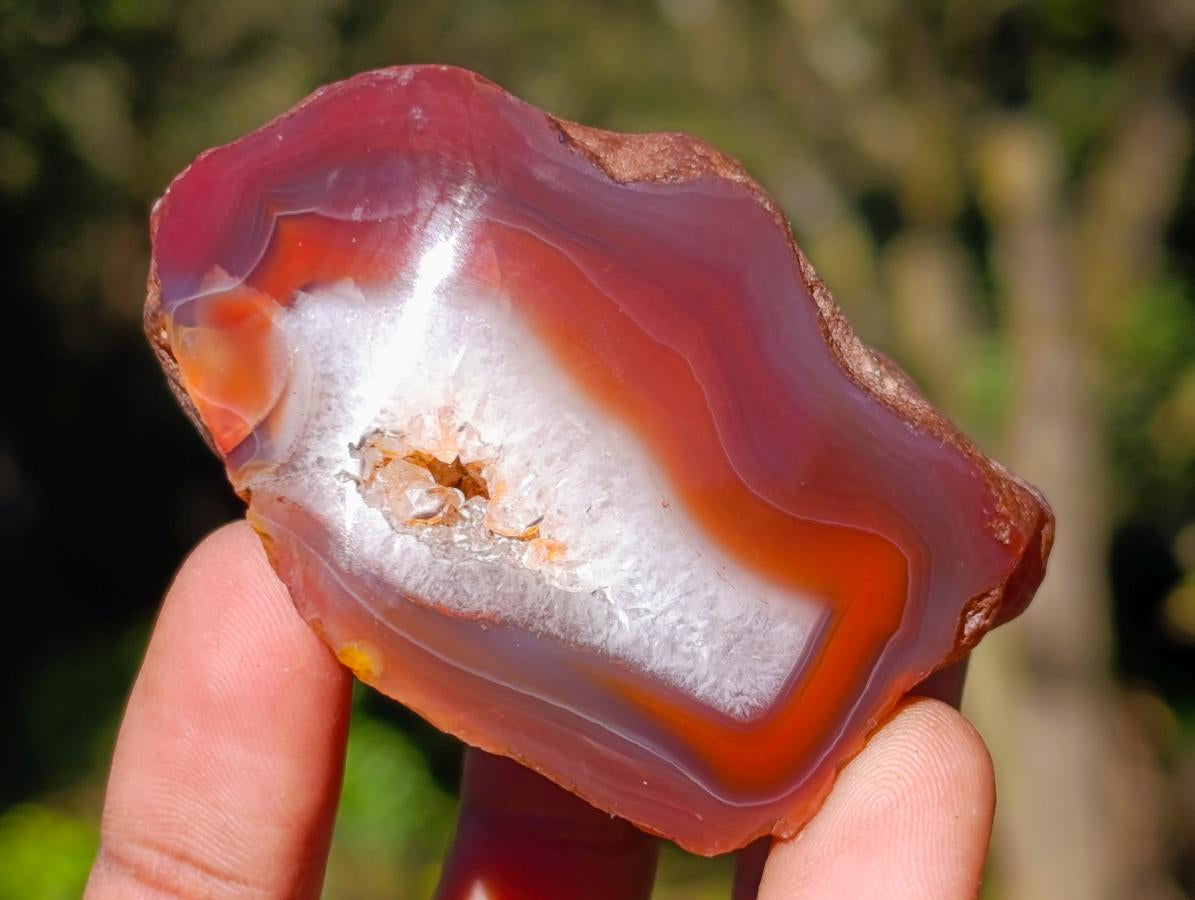 Polished One Side Red Shashe River Agate Nodules x 12 From Shashe River, Zimbabwe - Toprock Gemstones and Minerals 