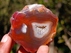 Polished One Side Red Shashe River Agate Nodules x 12 From Shashe River, Zimbabwe - Toprock Gemstones and Minerals 