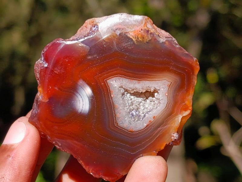 Polished One Side Red Shashe River Agate Nodules x 12 From Shashe River, Zimbabwe - Toprock Gemstones and Minerals 