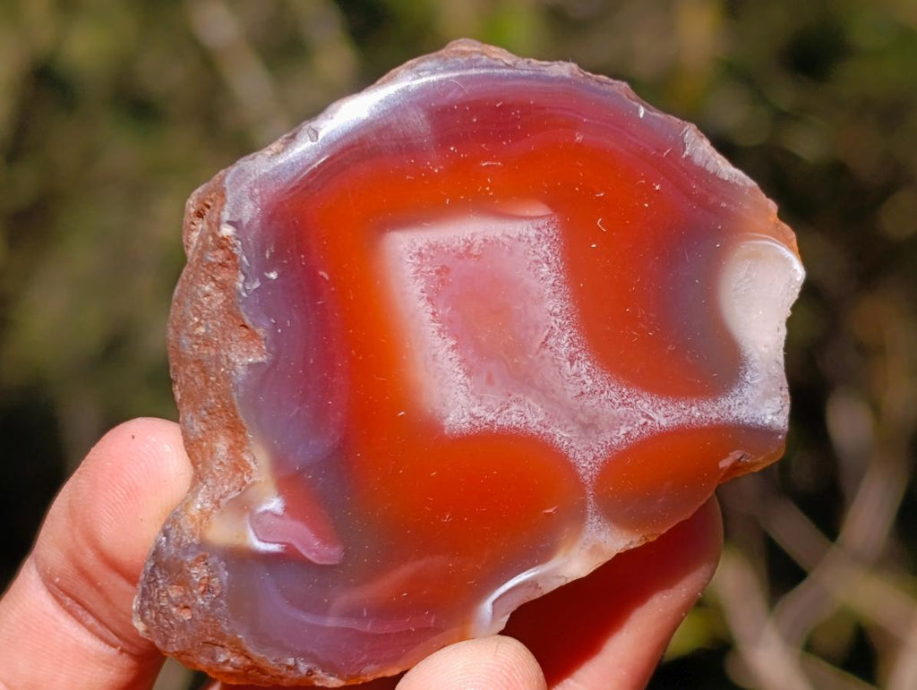 Polished One Side Red Shashe River Agate Nodules x 12 From Shashe River, Zimbabwe - Toprock Gemstones and Minerals 