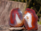 Polished One Side Red Shashe River Agate Nodules x 12 From Shashe River, Zimbabwe - Toprock Gemstones and Minerals 
