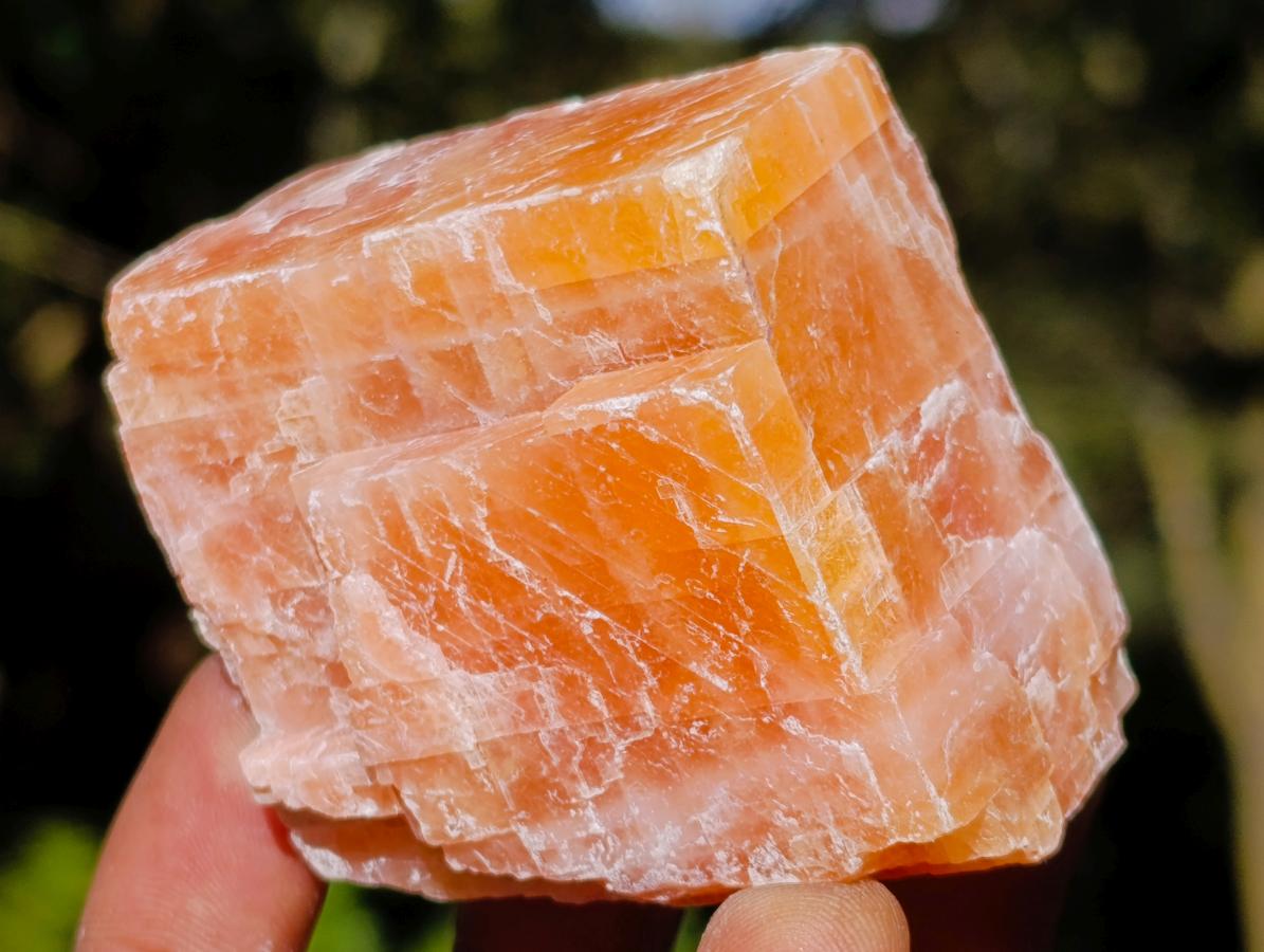 Natural Rhombohedral Sunset Orange Calcite Specimens x 12 From Spitzkop, Namibia - Toprock Gemstones and Minerals 