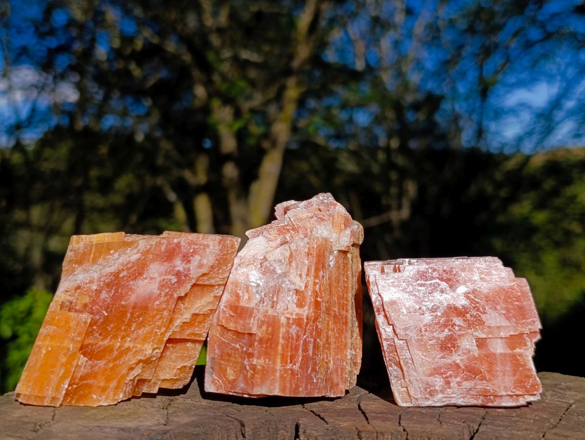 Natural Rhombohedral Sunset Orange Calcite Specimens x 12 From Spitzkop, Namibia - Toprock Gemstones and Minerals 