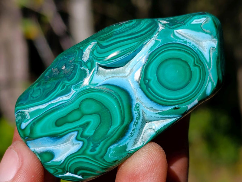 Polished Malacolla Free Forms x 12 From Kulukuluku, Congo - Toprock Gemstones and Minerals 