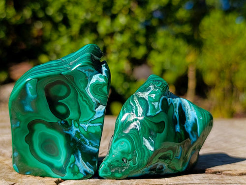 Polished Malacolla Free Forms x 12 From Kulukuluku, Congo - Toprock Gemstones and Minerals 
