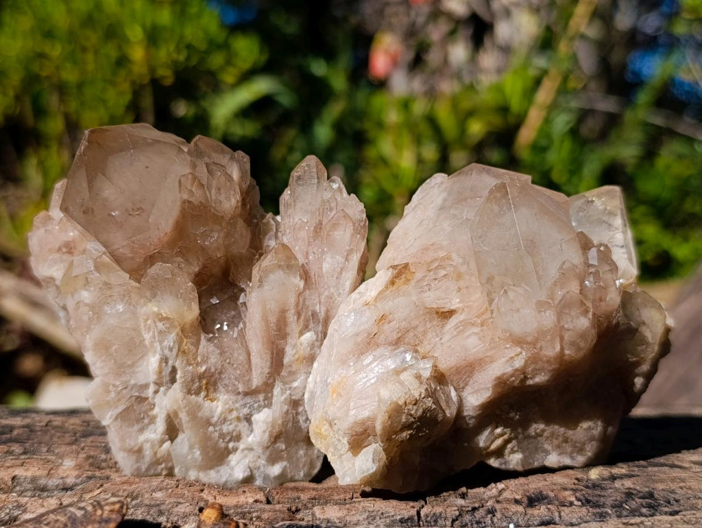 Natural Cascading White Phantom Smokey Luena Quartz Clusters x 6 From Luena, Congo - Toprock Gemstones and Minerals 