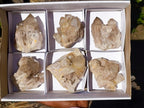 Natural Cascading White Phantom Smokey Luena Quartz Clusters x 6 From Luena, Congo - Toprock Gemstones and Minerals 