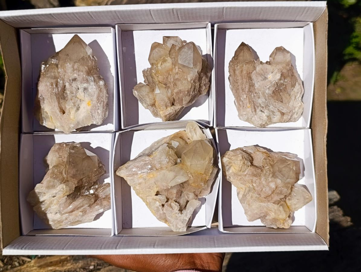 Natural Cascading White Phantom Smokey Luena Quartz Clusters x 6 From Luena, Congo - Toprock Gemstones and Minerals 