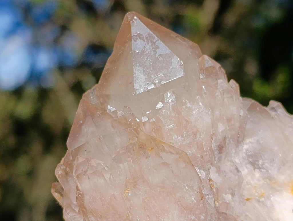 Natural Cascading White Phantom Smokey Luena Quartz Clusters x 6 From Luena, Congo - Toprock Gemstones and Minerals 