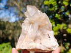 Natural Cascading White Phantom Smokey Luena Quartz Clusters x 6 From Luena, Congo - Toprock Gemstones and Minerals 