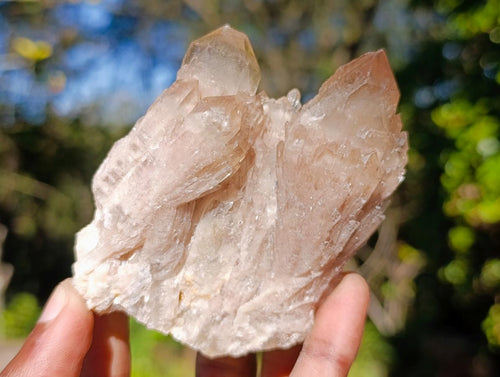 Natural Cascading White Phantom Smokey Luena Quartz Clusters x 6 From Luena, Congo - Toprock Gemstones and Minerals 