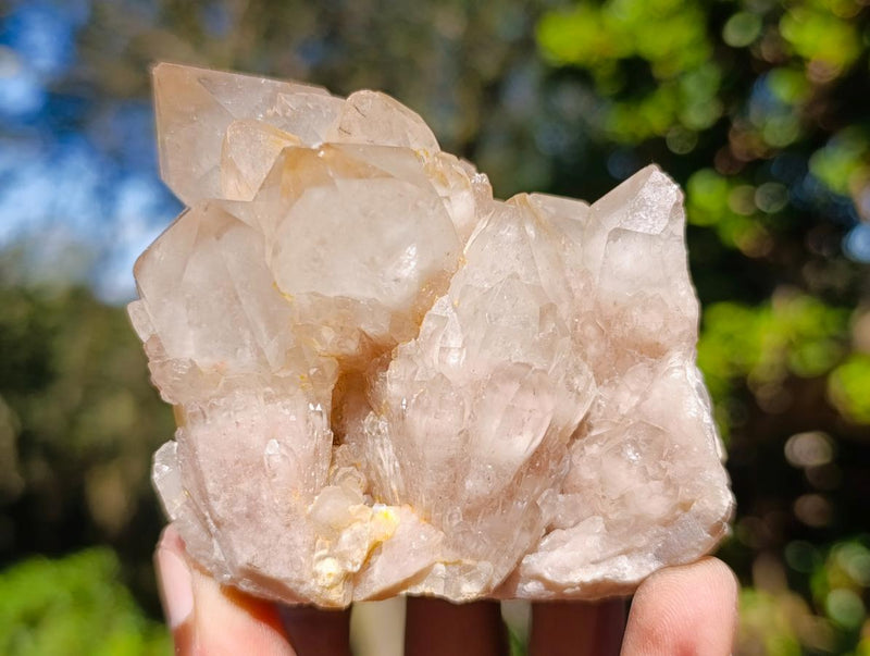 Natural Cascading White Phantom Smokey Luena Quartz Clusters x 6 From Luena, Congo - Toprock Gemstones and Minerals 