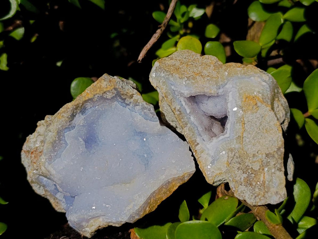 Natural Blue Lace Agate Geode Specimens x 12 From Nsanje, Malawi - Toprock Gemstones and Minerals 