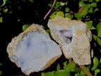 Natural Blue Lace Agate Geode Specimens x 12 From Nsanje, Malawi - Toprock Gemstones and Minerals 