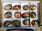 Polished On One Side Polychrome Jasper Nodules x 12 From NW Coast, Madagascar - Toprock Gemstones and Minerals 