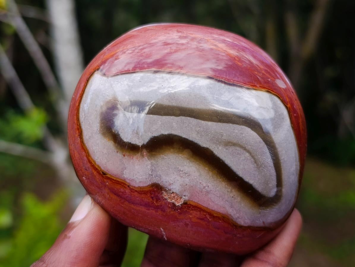 Polished On One Side Polychrome Jasper Nodules x 12 From NW Coast, Madagascar - Toprock Gemstones and Minerals 