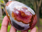 Polished On One Side Polychrome Jasper Nodules x 12 From NW Coast, Madagascar - Toprock Gemstones and Minerals 