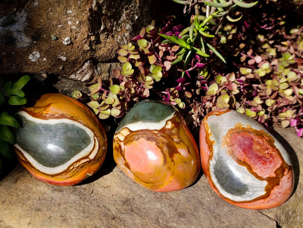 Polished On One Side Polychrome Jasper Nodules x 12 From NW Coast, Madagascar - Toprock Gemstones and Minerals 