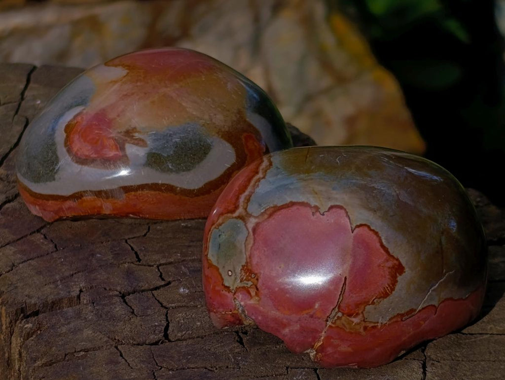 Polished On One Side Polychrome Jasper Nodules x 12 From NW Coast, Madagascar - Toprock Gemstones and Minerals 