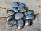 Polished Basalt Pharaoh Stone Galets x 12 From Iron Duke Mine, Zimbabwe - Toprock Gemstones and Minerals 