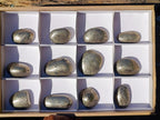 Polished Basalt Pharaoh Stone Galets x 12 From Iron Duke Mine, Zimbabwe - Toprock Gemstones and Minerals 