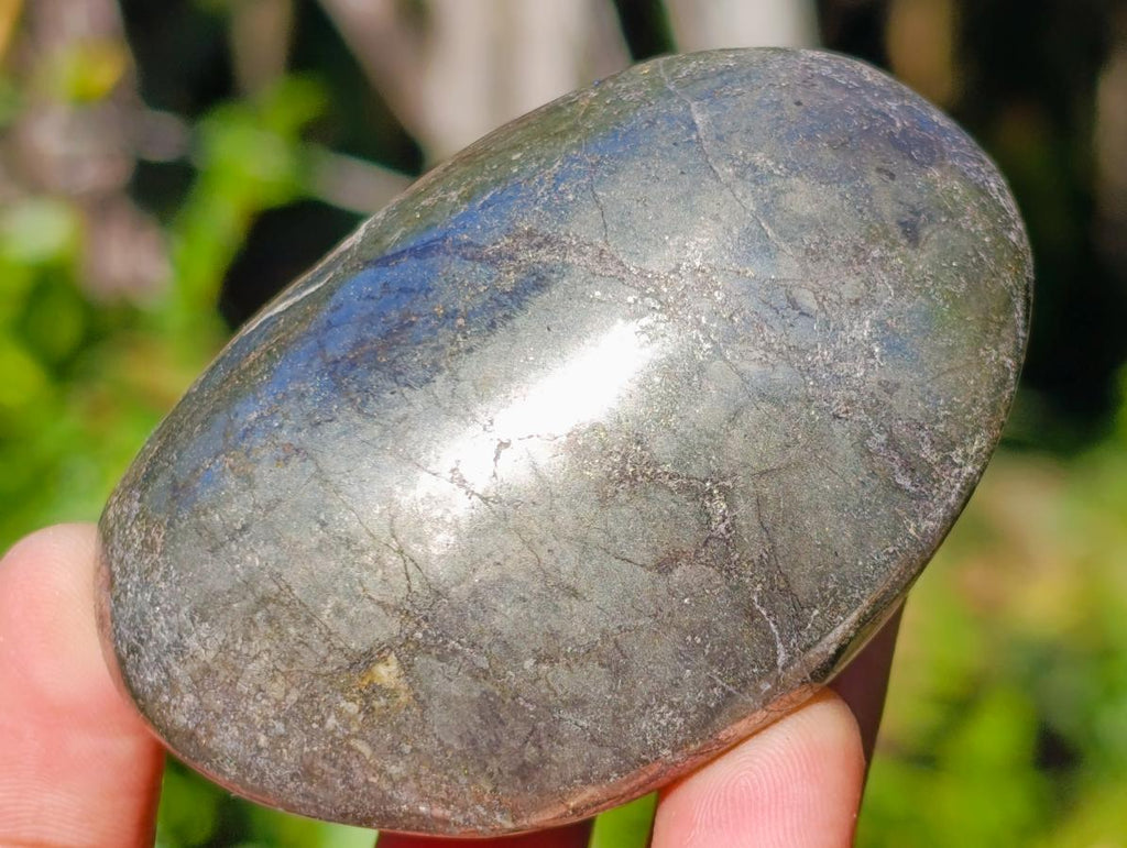 Polished Basalt Pharaoh Stone Galets x 12 From Iron Duke Mine, Zimbabwe - Toprock Gemstones and Minerals 