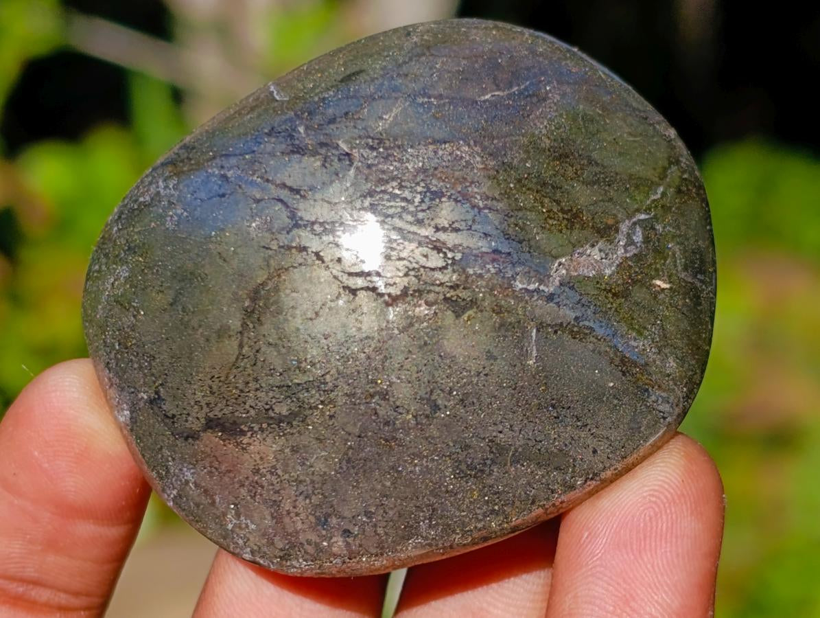 Polished Basalt Pharaoh Stone Galets x 12 From Iron Duke Mine, Zimbabwe - Toprock Gemstones and Minerals 