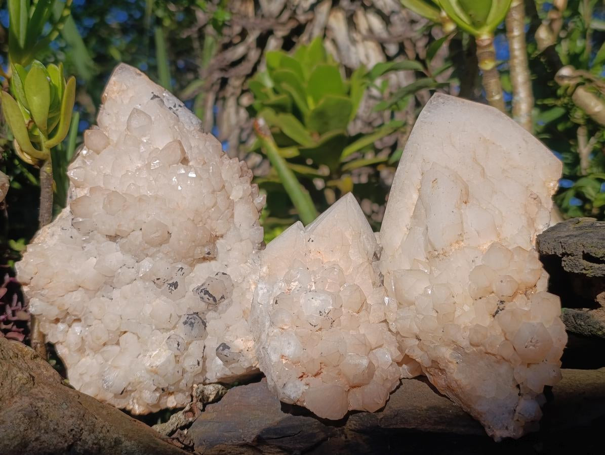Natural Cascading "Anananas" Candle Quartz Clusters x 3 From Antsirabe, Madagascar - Toprock Gemstones and Minerals 