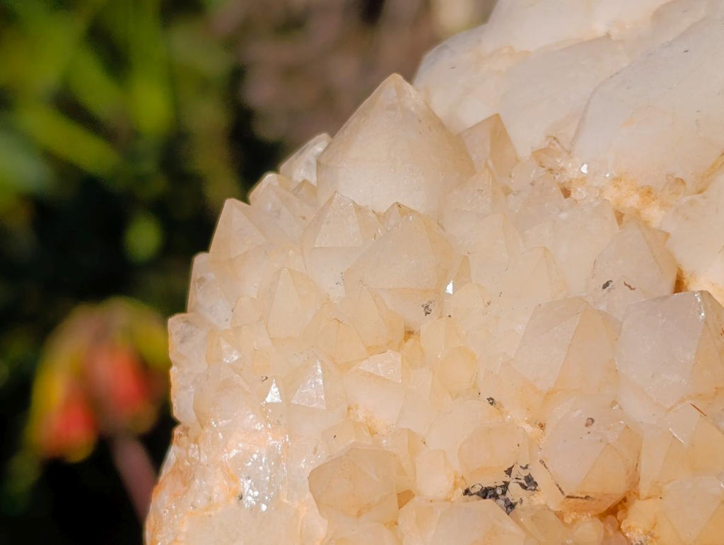 Natural Cascading "Anananas" Candle Quartz Clusters x 3 From Antsirabe, Madagascar - Toprock Gemstones and Minerals 