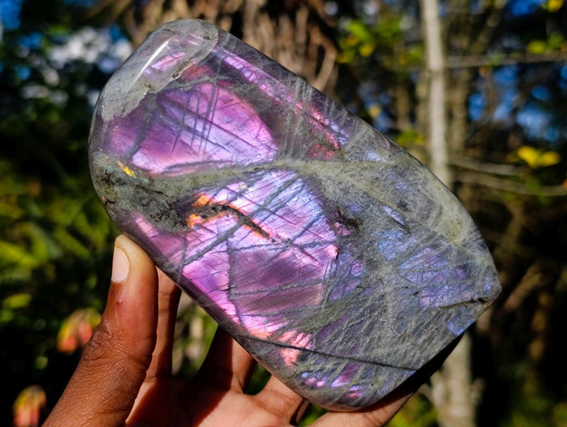 Polished Rare Purple Sunset Flash Labradorite Standing Display Pieces x 2 From Madagascar - Toprock Gemstones and Minerals 