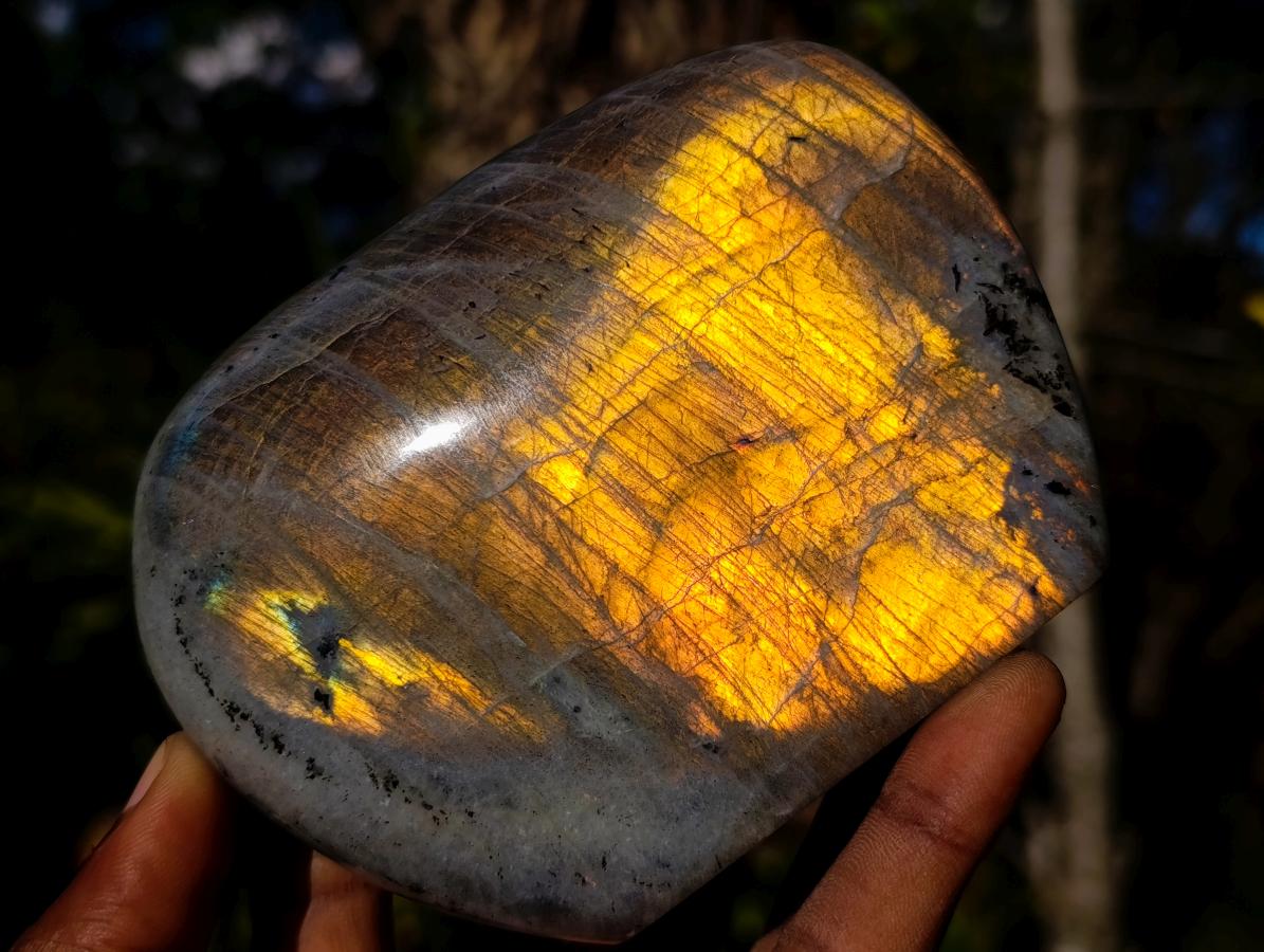 Polished Rare Purple Sunset Flash Labradorite Standing Display Pieces x 2 From Madagascar - Toprock Gemstones and Minerals 