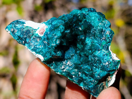 Natural Dioptase on Dolomite Specimens x 6 From Likasi, Congo - Toprock Gemstones and Minerals 