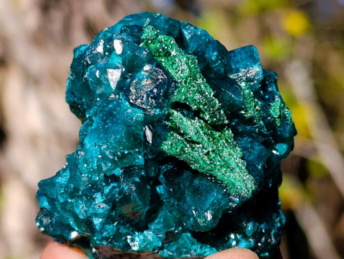 Natural Dioptase on Dolomite Specimens x 6 From Likasi, Congo - Toprock Gemstones and Minerals 