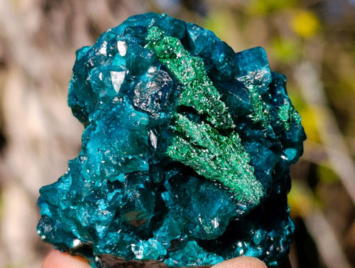 Natural Dioptase on Dolomite Specimens x 6 From Likasi, Congo - Toprock Gemstones and Minerals 