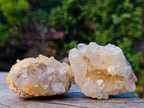 Natural Golden Limonite Quartz Clusters x 24 From Solwezi, Zambia - Toprock Gemstones and Minerals 