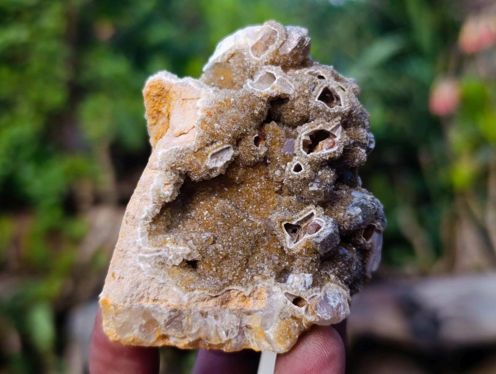 Natural Golden Limonite Quartz Clusters x 24 From Solwezi, Zambia - Toprock Gemstones and Minerals 
