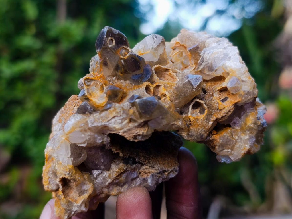 Natural Golden Limonite Quartz Clusters x 24 From Solwezi, Zambia - Toprock Gemstones and Minerals 
