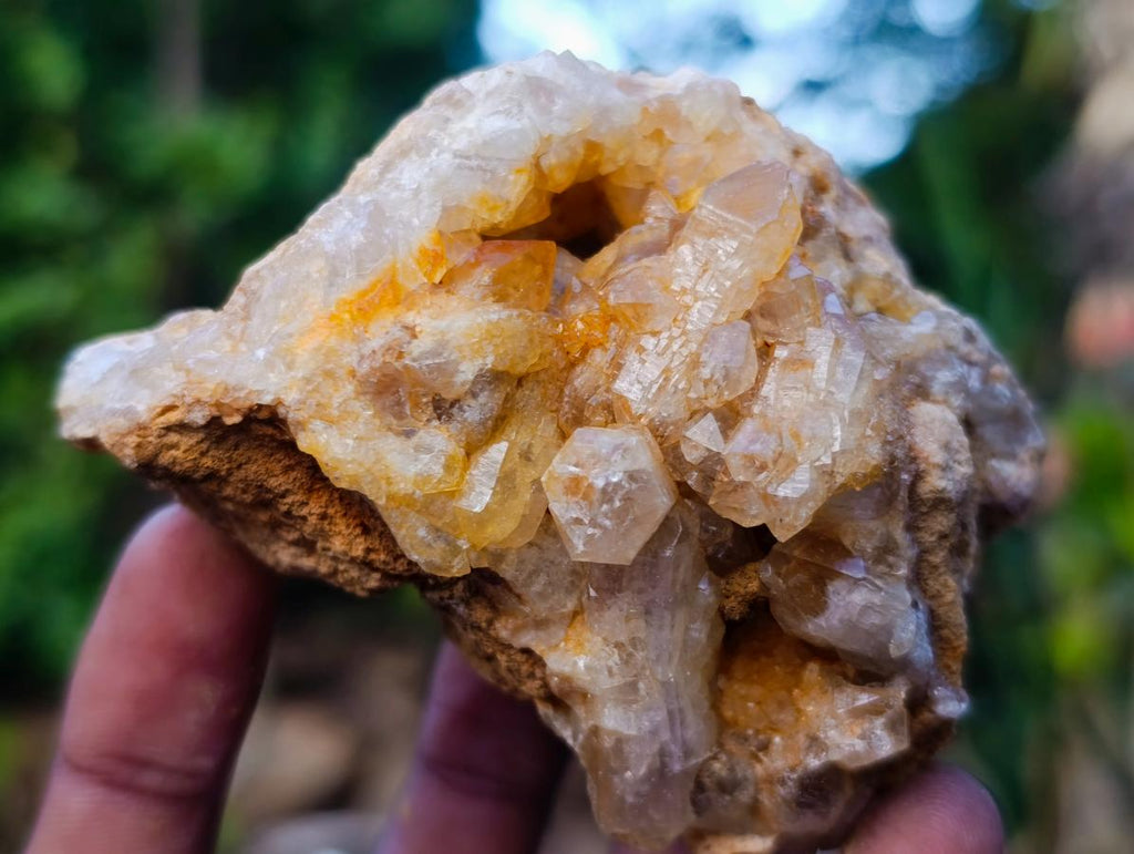 Natural Golden Limonite Quartz Clusters x 24 From Solwezi, Zambia - Toprock Gemstones and Minerals 