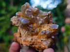 Natural Golden Limonite Quartz Clusters x 24 From Solwezi, Zambia - Toprock Gemstones and Minerals 