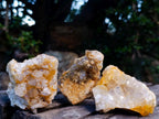 Natural Golden Limonite Quartz Clusters x 24 From Solwezi, Zambia - Toprock Gemstones and Minerals 