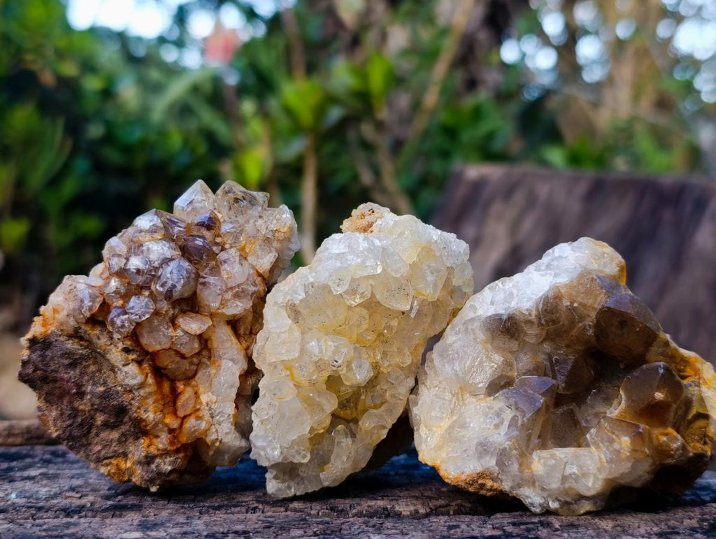 Natural Golden Limonite Quartz Clusters x 24 From Solwezi, Zambia - Toprock Gemstones and Minerals 
