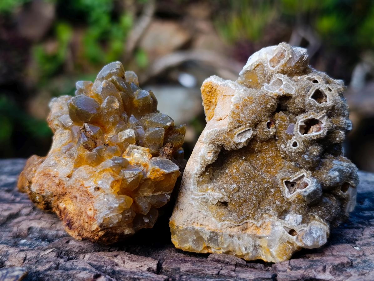 Natural Golden Limonite Quartz Clusters x 24 From Solwezi, Zambia - Toprock Gemstones and Minerals 