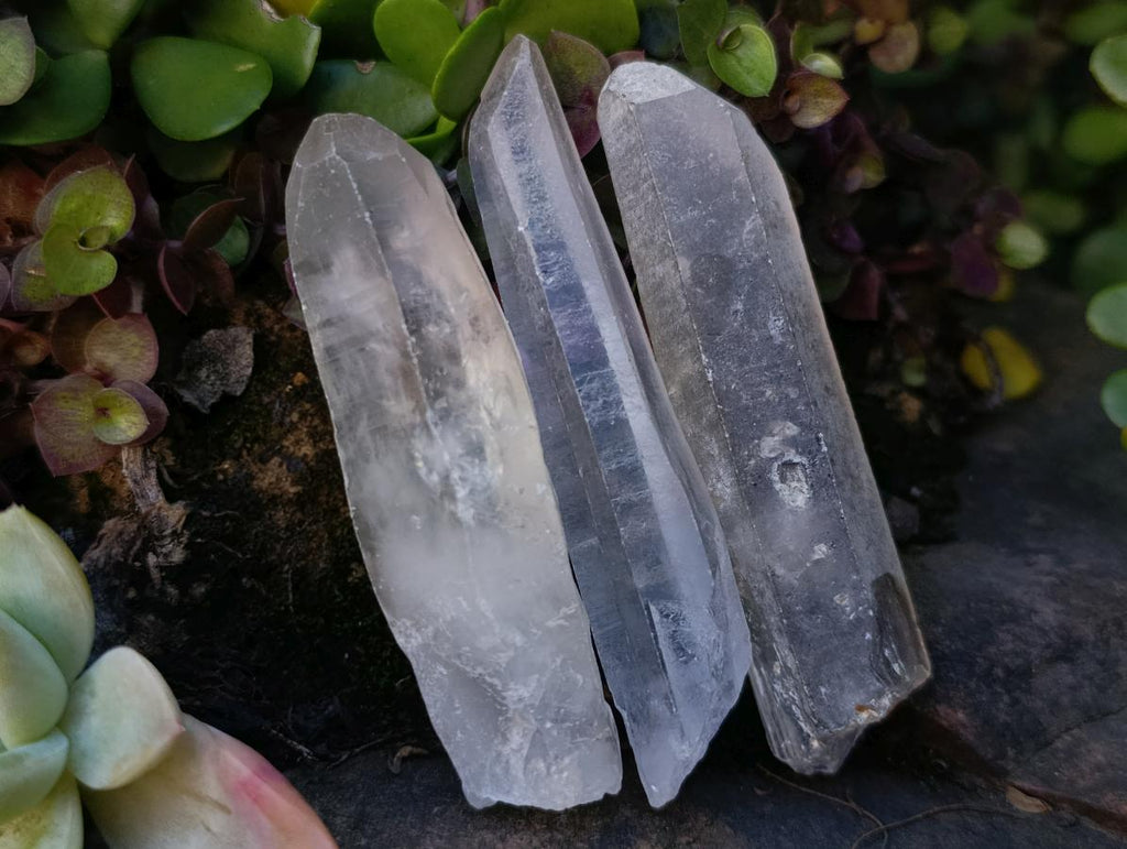 Natural Clear Quartz Crystals x 35 From Madagascar - Toprock Gemstones and Minerals 