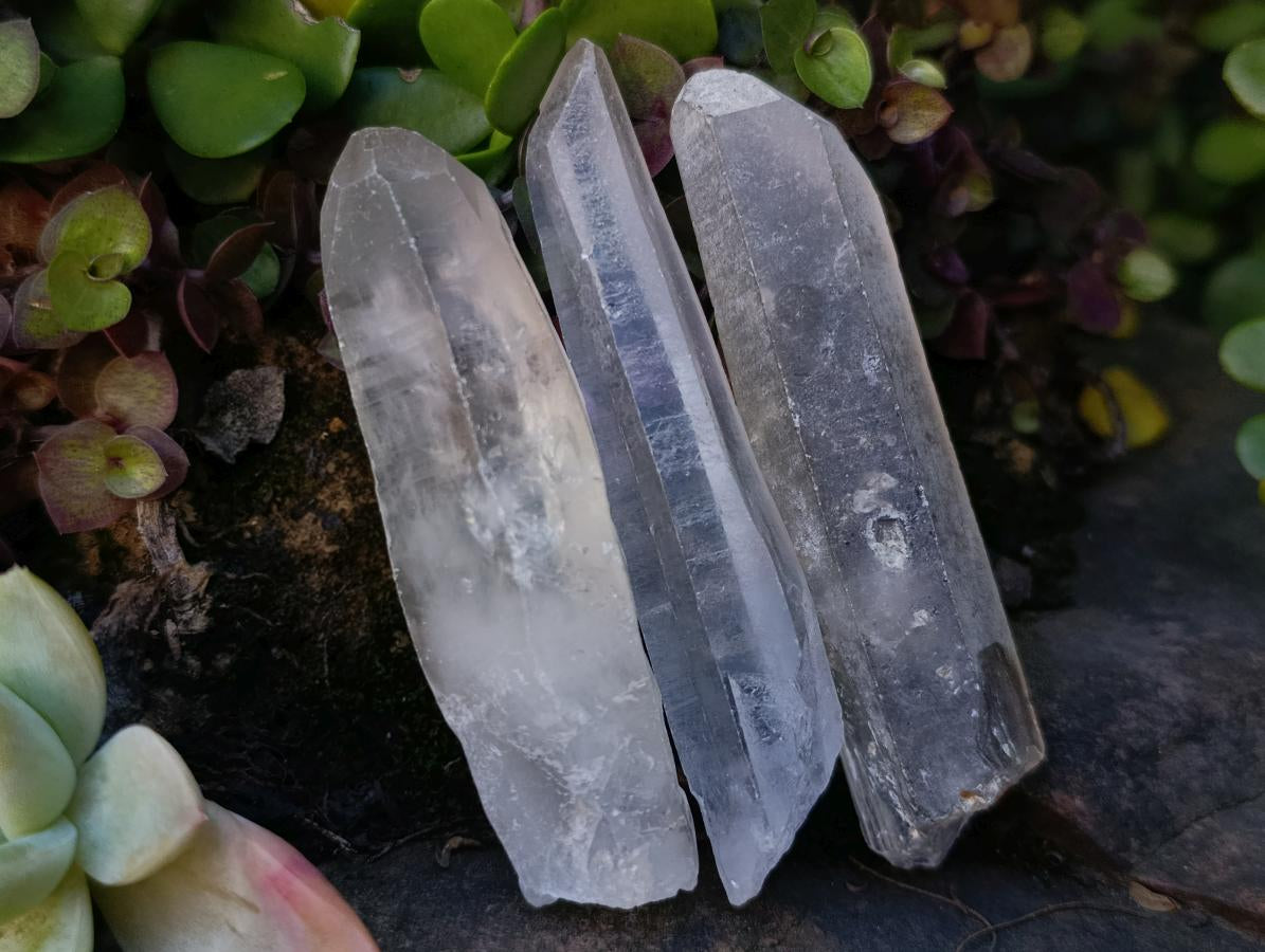 Natural Clear Quartz Crystals x 35 From Madagascar - Toprock Gemstones and Minerals 